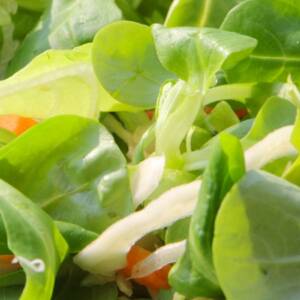 Mélange d'épices pour green salad