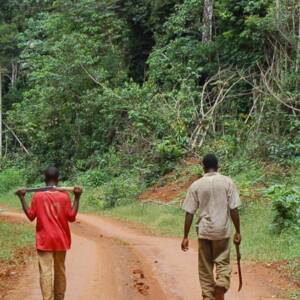 Poivre noir de Penja fumé au bois de hêtre