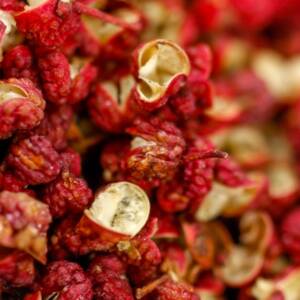 Baies de Sichuan (Sechuan)