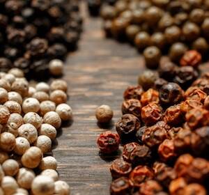 Lot de 4 poivriers nomade