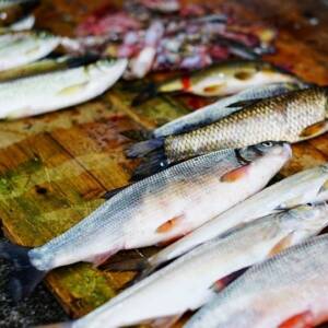 Assemblage d'épices pour Plancha Poissons