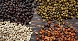 Formation Professionnelle Poivres & Baies (faux poivres)